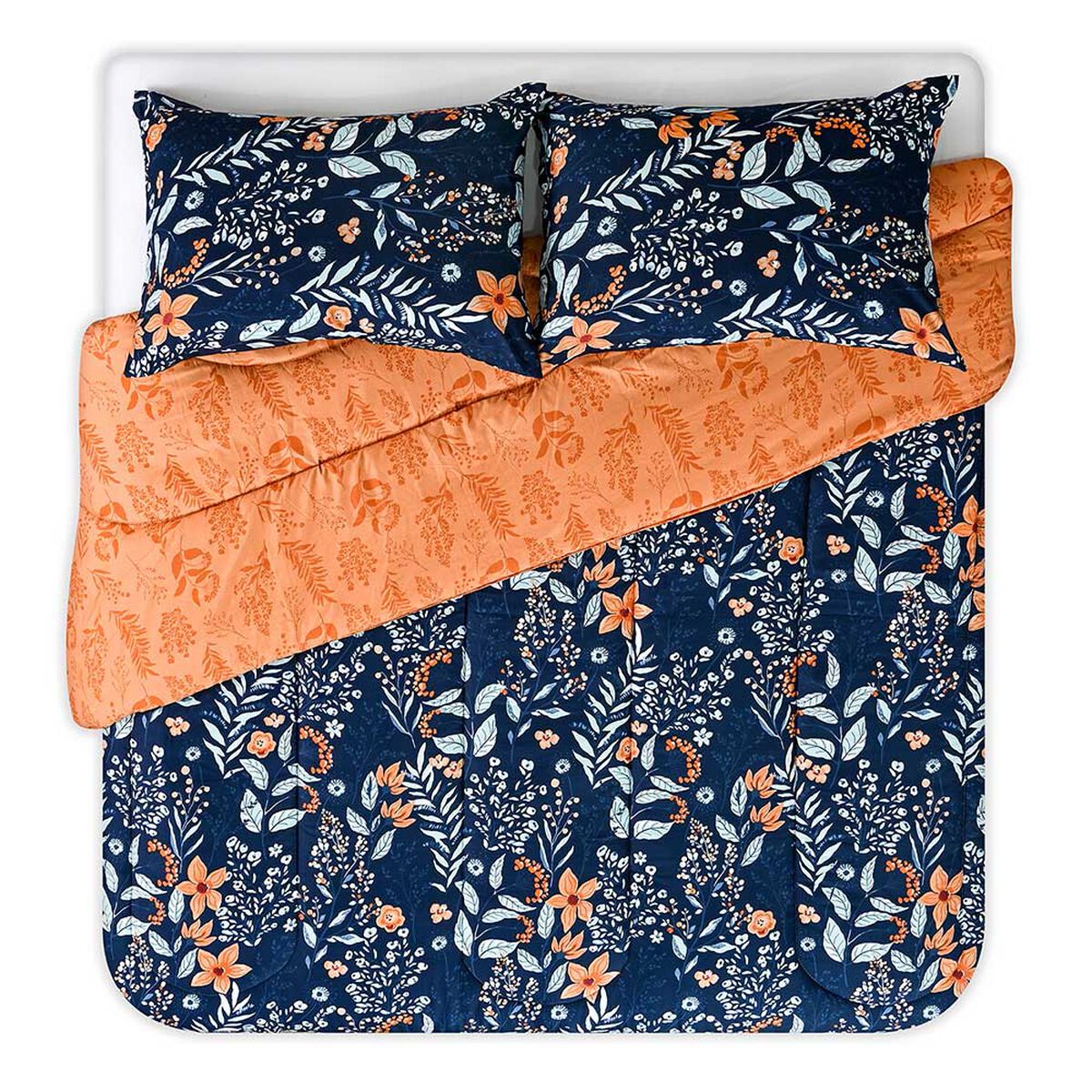 Plum&oacute;n American Family King Frambella