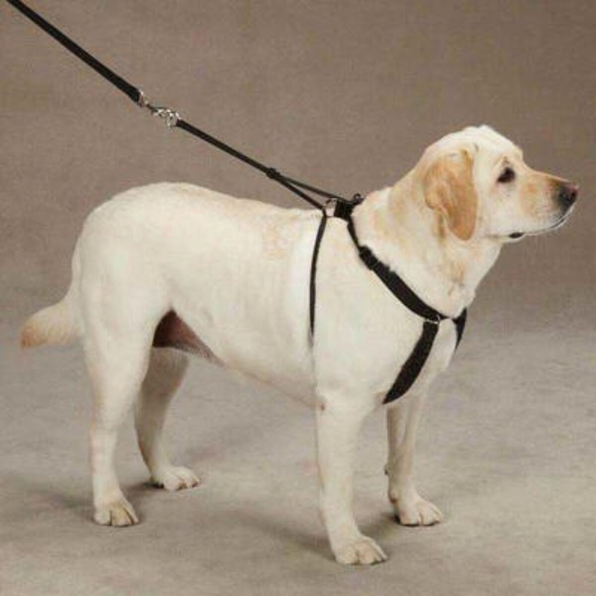 Arnés Mascan Anti-pull para Perro