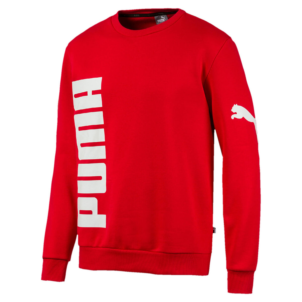 Polerón Hombre Puma Alpha Block Hoody Fl