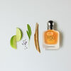 Perfume Giorgio Armani Stronger With You Freeze EDT 100 ml Edición Limitada