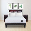 Combo Cama Europea Rosen 2 Plazas Ergo-T + Set Maderas Zibel Paris + Pack Almohadas Celta Imperial Soft
