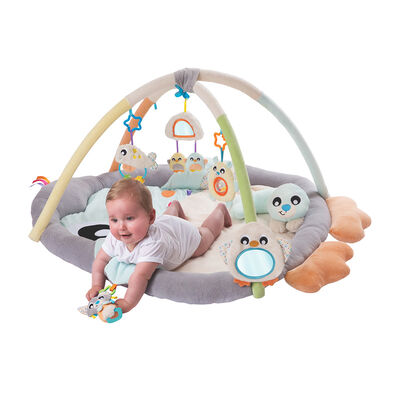 Imagen 2 del producto Gimnasio Acurrucame Pinguino Playgro