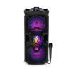 Karaoke MLAB 8251