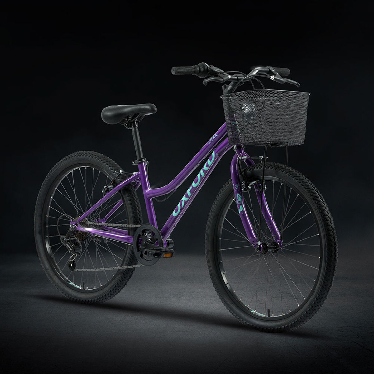 Bicicleta Infantil Oxford Aro 24