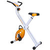 Bicicleta Estática Lahsen HM-9015