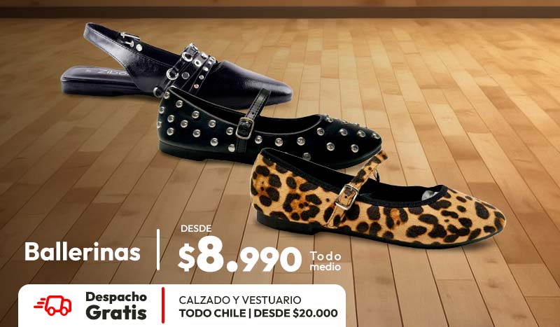 ballerinas desde 8990 +despacho gratis vestuario y calzado sobre 20,000 todo chile