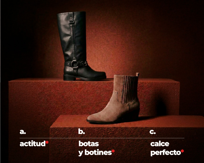 Botas y botines