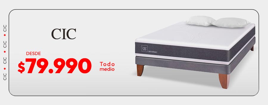 CIC desde 79990
