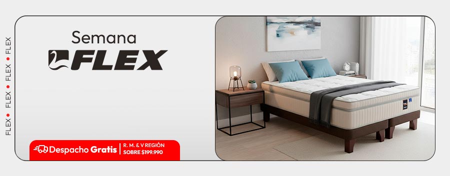 Flex despacho gratis