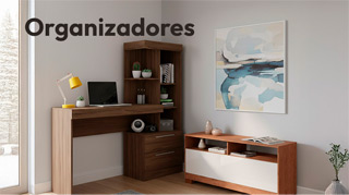Organizadores