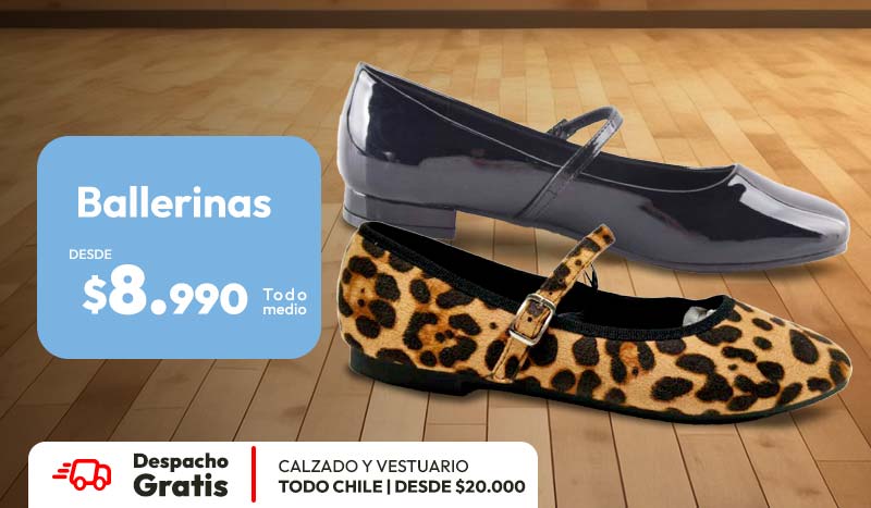 ballerinas desde 8990 +despacho gratis vestuario y calzado sobre 20,000 todo chile