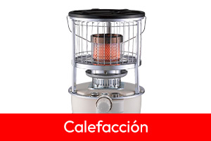 Categoria 13