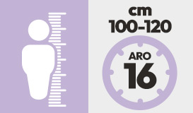 Categoria 2