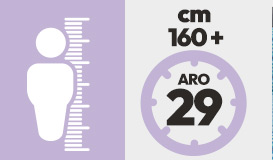 Categoria 5