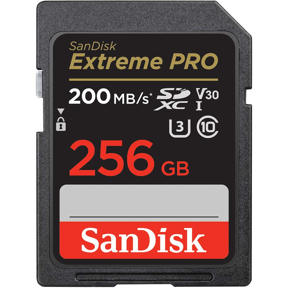 Memoria Sandisk SDSDXXD-256GB